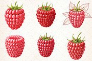 Watercolor Raspberry Clipart, an Illustration by Libby Wishes (Thumbnail 3 of 5)