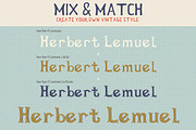 Herbert Lemuel Script, a Sans Serif Font by BlueRobinDesignShop (Thumbnail 13 of 13)
