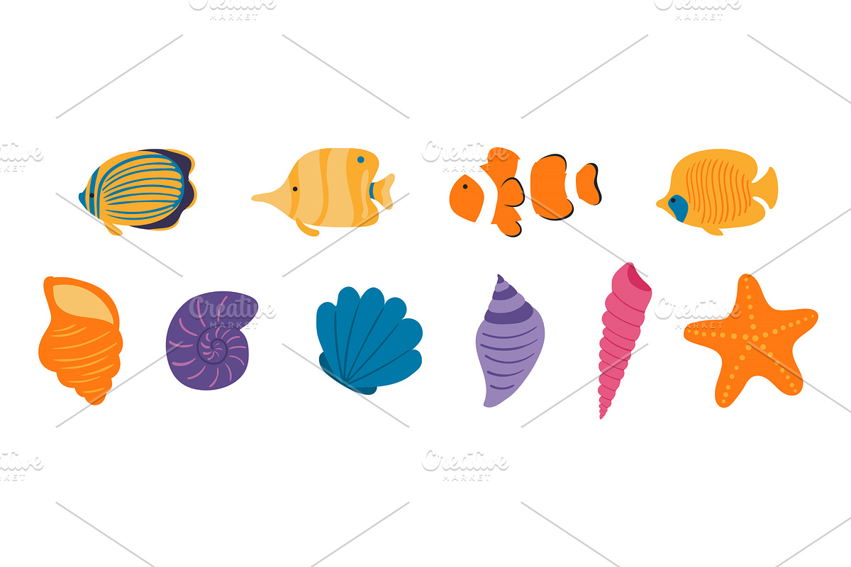 Coral reef fish, seashell, starfish, an Animal Illustration by sceptical cactus
