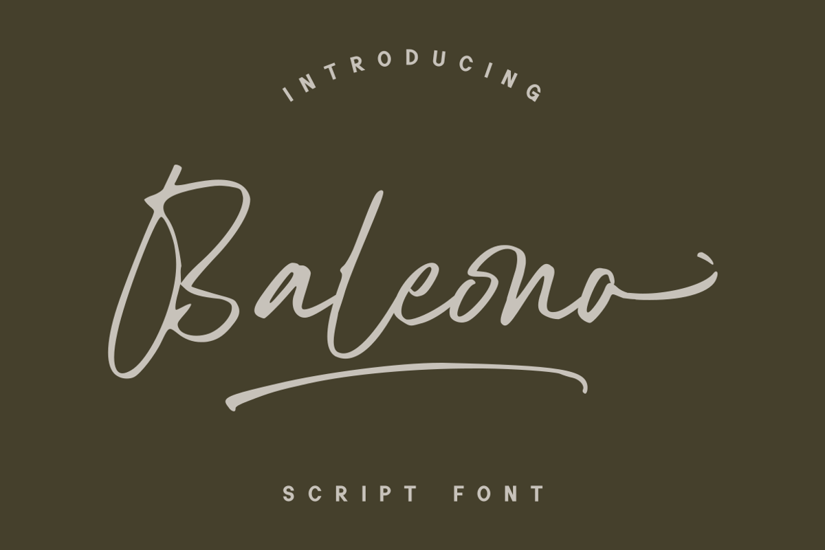 Baleono - Script Font, a Handwritten Font by GFRcreative (Photo 1 of 8)