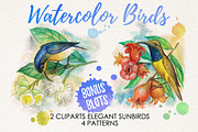 watercolor birds, an Illustration by Graphobia (Thumbnail 1 of 5)
