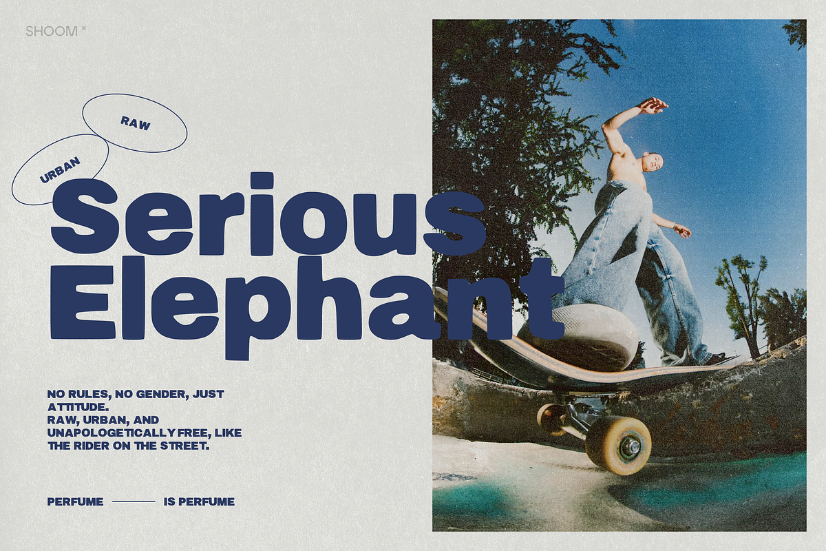 Fernville: Bold Sans Serif, a Sans Serif Font by SHOOM HOUSE (Photo 10 of 12)