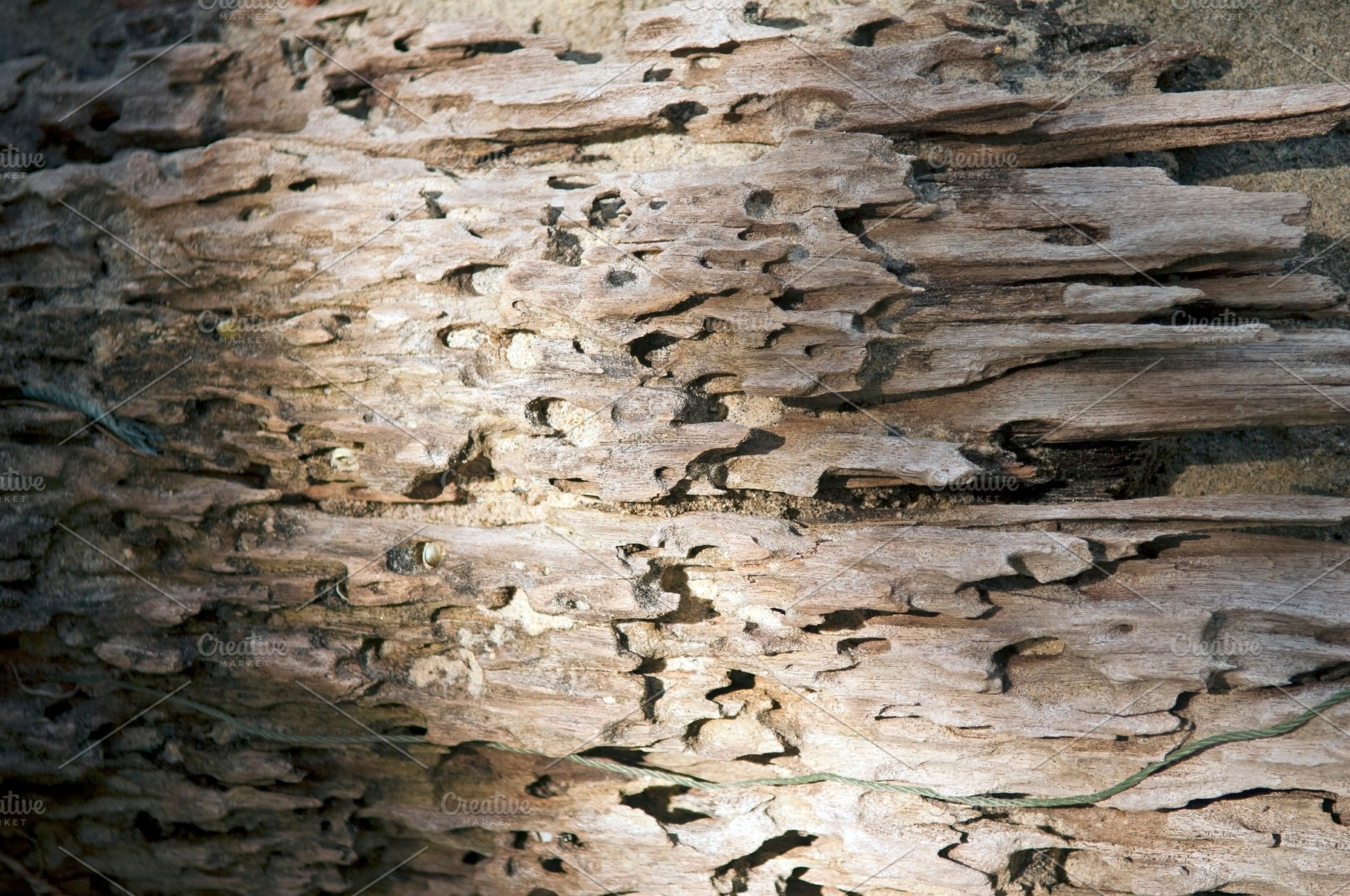 Drift Wood, a Background Photo by THP Creative