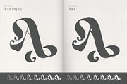 Dream Fantasy - Decorative Font, a Serif Font by creativemedialab (Thumbnail 4 of 16)