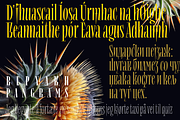 Repyakh Serif type family, a Serif Font by LevType (Thumbnail 3 of 14)