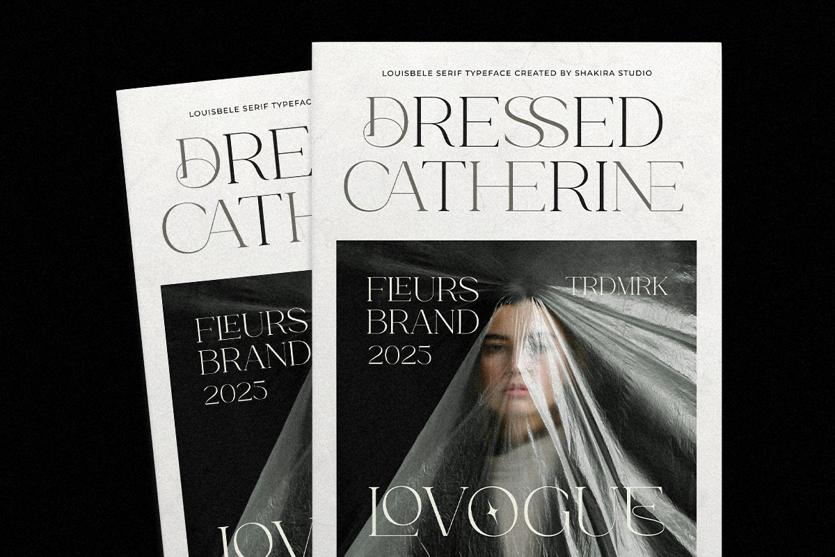 Classy Elegant Serif - Louisbele, a Serif Font by Shakira Studio (Photo 7 of 10)