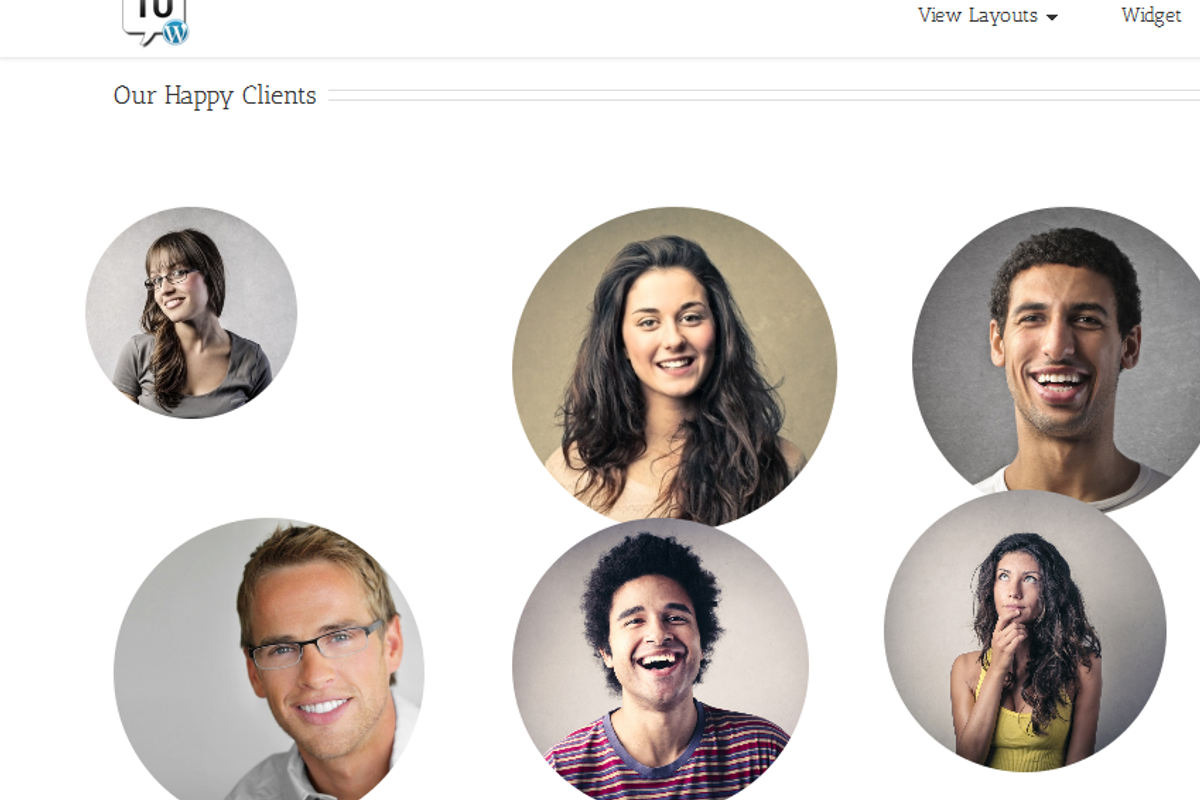 Testimonials Ultimate, a WordPress Template by WPICODE (Photo 3 of 8)