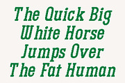 CS Bargent Pixel, a Slab Serif Font by Craft Supply Co. (Thumbnail 2 of 8)