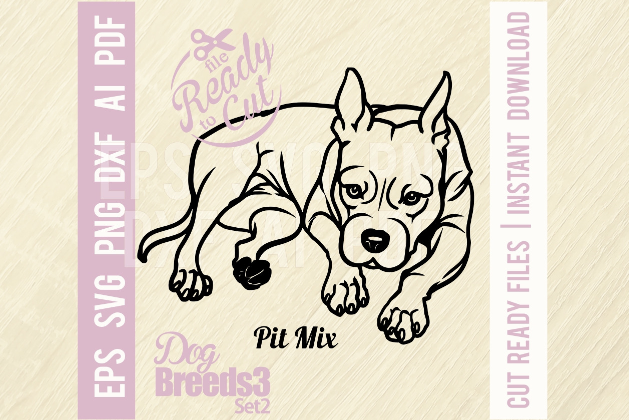 Pit Mix Lying Dog Svg, Dog Breed, an Animal Illustration by Digital-Clipart