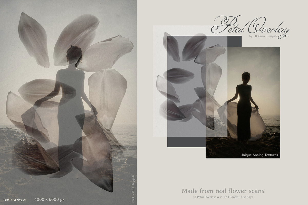 Flower Petal Textures & Foil Overlay, a Texture Graphic by Oksana Trygub (Photo 11 of 28)