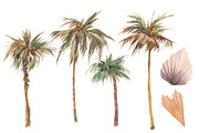 DESERT PLANTS, an Illustration by Eisfrei (Thumbnail 9 of 10)