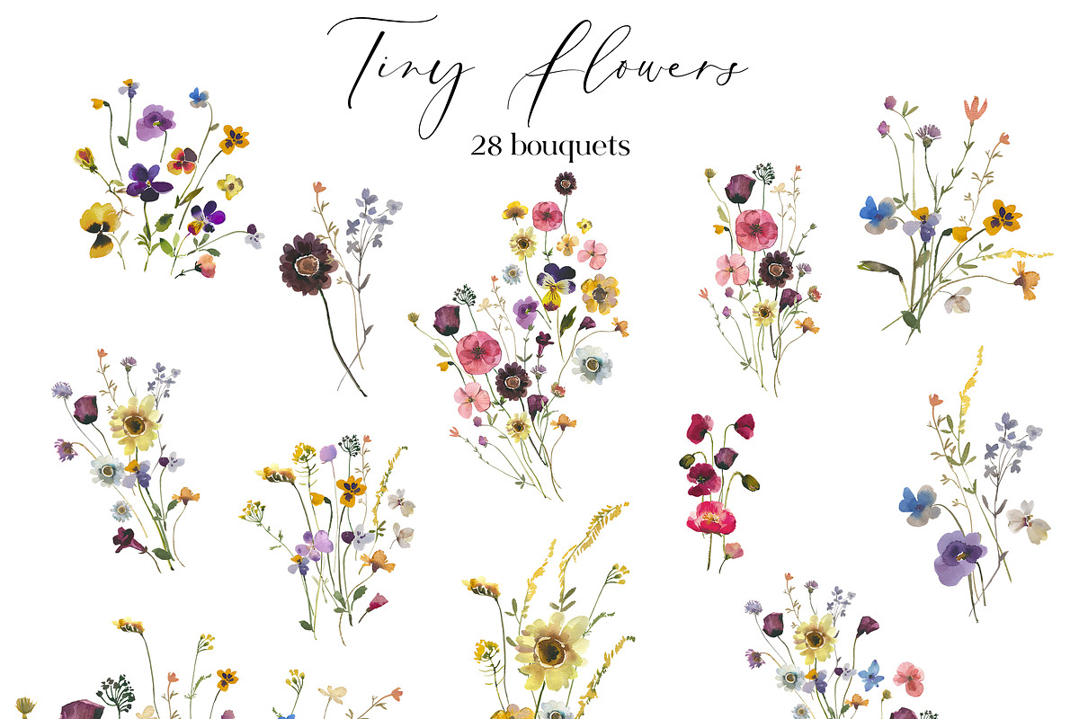 Tiny Flowers Pressed Floral Clipart, an Illustration by whiteheartdesign (Photo 2 of 17)
