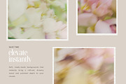 Soft Floral Spring Blur Backgrounds, a Background Graphic by eclosque (Thumbnail 41 of 48)