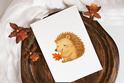 Autumn Elements - Cute Fall PNG, an Animal Illustration by PaintPixelCo (Thumbnail 5 of 10)