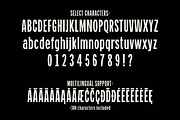 Franklin Ave. - Gothic Sans Serif, a Sans Serif Font by Great Scott! (Thumbnail 5 of 5)