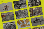 The Age of Dinosaurs, an Illustration by Nomad Visuals (Thumbnail 7 of 10)