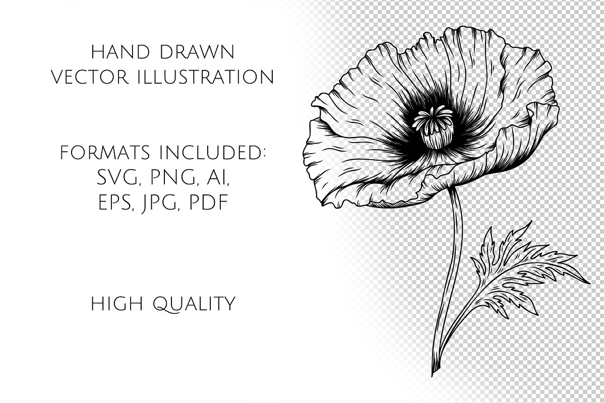 Poppy Flowers Line Art SVG, an Object Graphic by Dervik Art Store (Photo 7 of 7)
