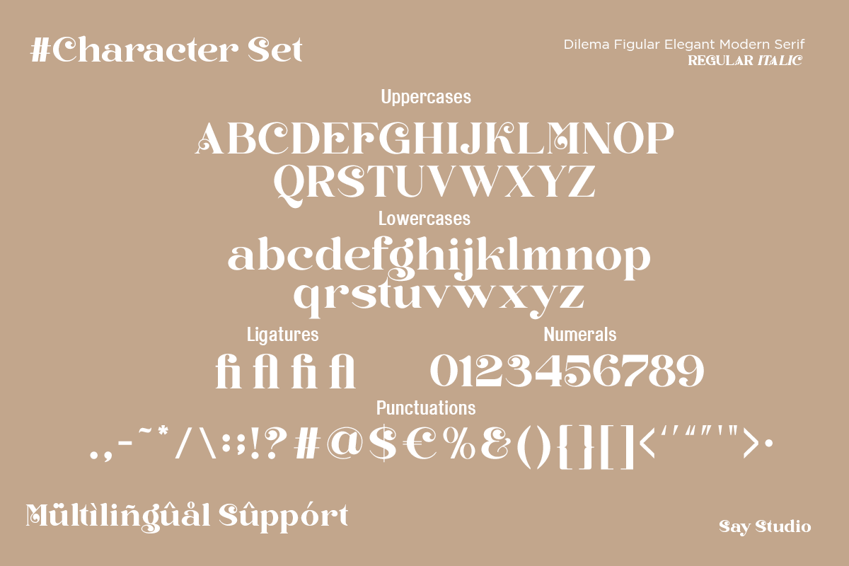 Dilema Figular - Elegant Modern Font, a Serif Font by Say Studio (Photo 10 of 11)
