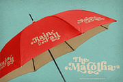 Matolha Typeface, a Serif Font by alit design (Thumbnail 6 of 17)