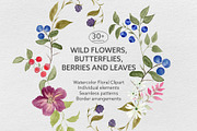 Wildflower & Butterfly Collection, a Decorative Illustration by Nadia Semyroz (Thumbnail 1 of 12)