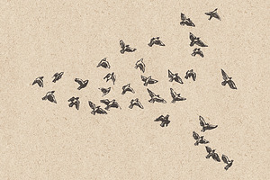 Flocks Of Birds, Sketch Style