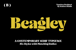 Beagley Display, a Serif Font by Seniors