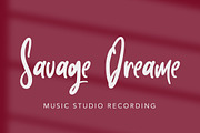 Plottage - Handwritten Font, a Script Font by Arendxstudio (Thumbnail 3 of 8)