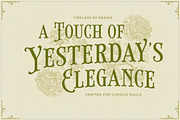 Brindley Houston Display Serif, a Serif Font by Letterhend Studio (Thumbnail 2 of 11)