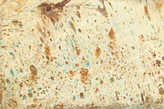 Watercolor bark paper, a Texture Graphic by le-genda (Thumbnail 10 of 15)