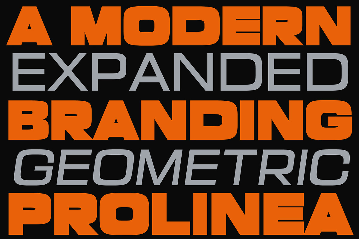 Prolinea Family | Intro 75% OFF, a Sans Serif Font by Lettertype Studio (Photo 12 of 15)