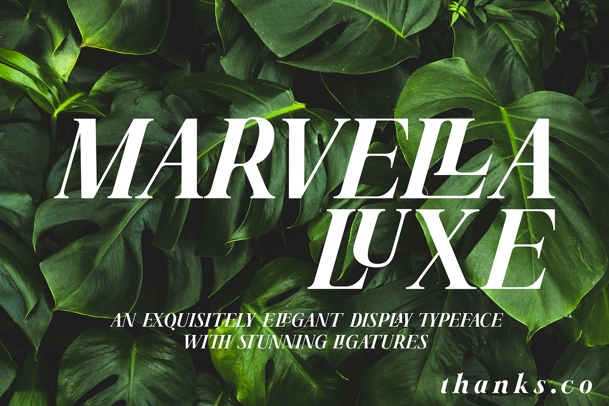 Marvella Luxe - Elegant Display, a Serif Font by zamjumps (Photo 12 of 12)