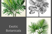 Luxury Tropical Nature, a Nature Photo by pictures for you (Thumbnail 4 of 19)