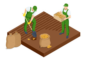 Agricultural cultivation. Two male, a Food Illustration by Golden Sikorka