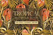 Tropical story. Patterns collection., a Pattern Graphic by Alena Zaytseva (Thumbnail 1 of 11)