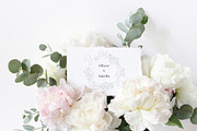 DRIED BOTANICALS COLLECTION, a Decorative Illustration by Luna Dreams (Thumbnail 11 of 13)
