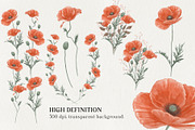 Poppies Watercolor Wedding Set, an Invitation Template by Garden in frame (Thumbnail 3 of 5)