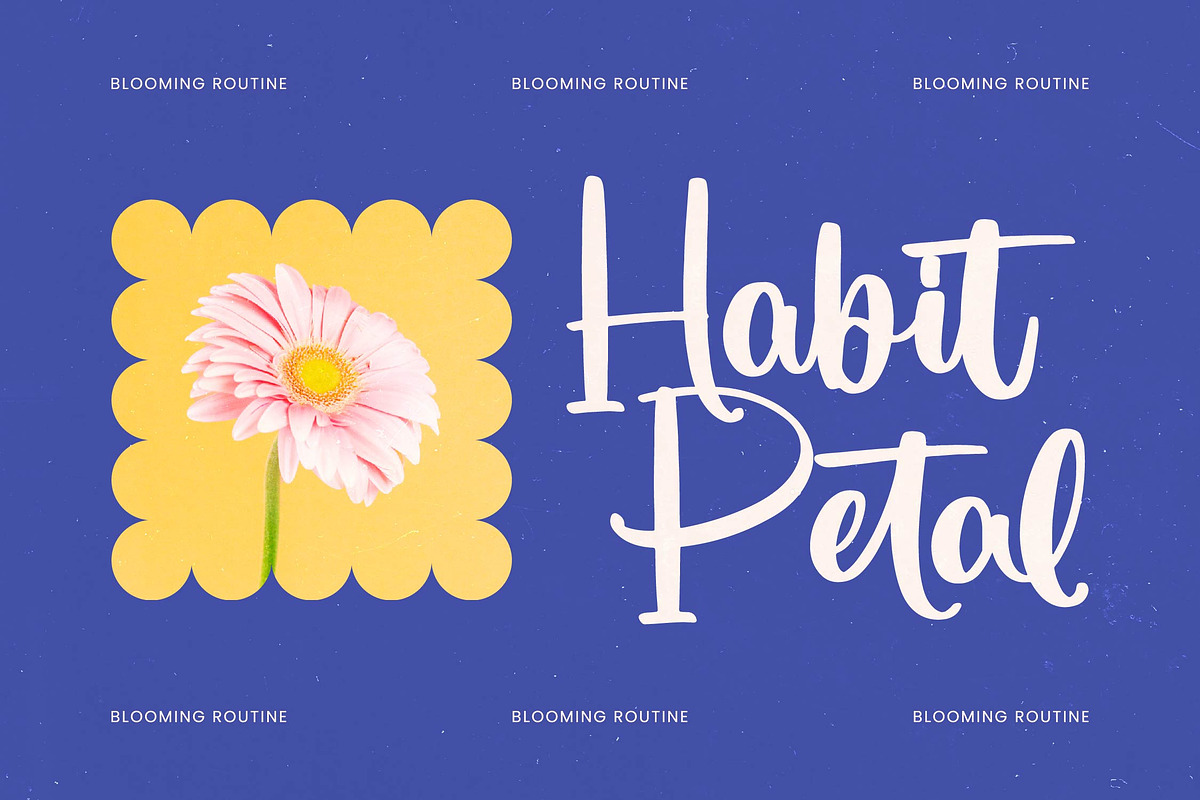 Dhaytime Bracket Bold Handwritten, a Script Font by Letterena Studios Script (Photo 13 of 20)