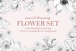 Pencil Drawing Flower Set