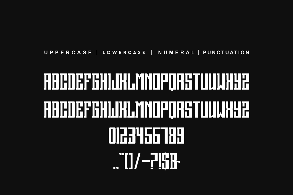 Sproxyne, a Serif Font by alon kelakon (Photo 4 of 5)