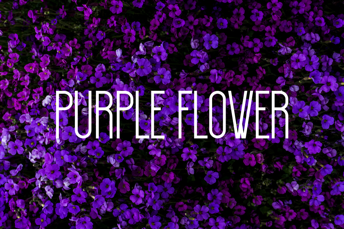 Elegant Summer - Font, a Sans Serif Font by artchiles_design (Photo 3 of 5)