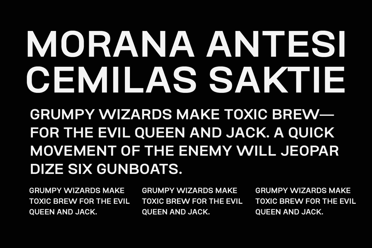 Conigen Modern Sans Serif, a Sans Serif Font by Yukita Creative (Photo 7 of 12)