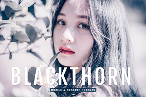 Blackthorn Pro Lightroom Presets