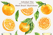 Oranges Watercolor Clipart, a Food Illustration by BarvArt (Thumbnail 2 of 6)