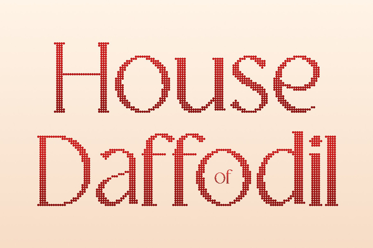 CS Granvile Disco, a Serif Font by Craft Supply Co. (Photo 7 of 8)