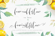 Lemons & Soda Script Font, a Script Font by Creativeqube Design (Thumbnail 16 of 17)