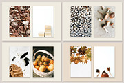 Autumn Bundles Collection, a Photo by Floral Deco (Thumbnail 8 of 13)