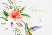 Hummingbird Birds Collection, an Illustration by ReachDreams (Thumbnail 6 of 6)