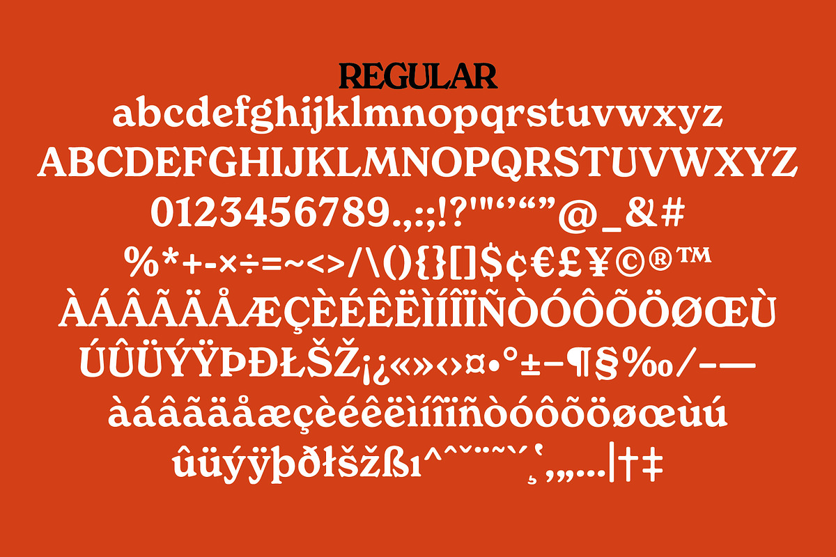 Free Spirited, a Serif Font by Horlleys (Photo 16 of 20)