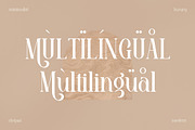 Barjiah Modern Serif Font, a Serif Font by Storytype Studio (Thumbnail 12 of 15)