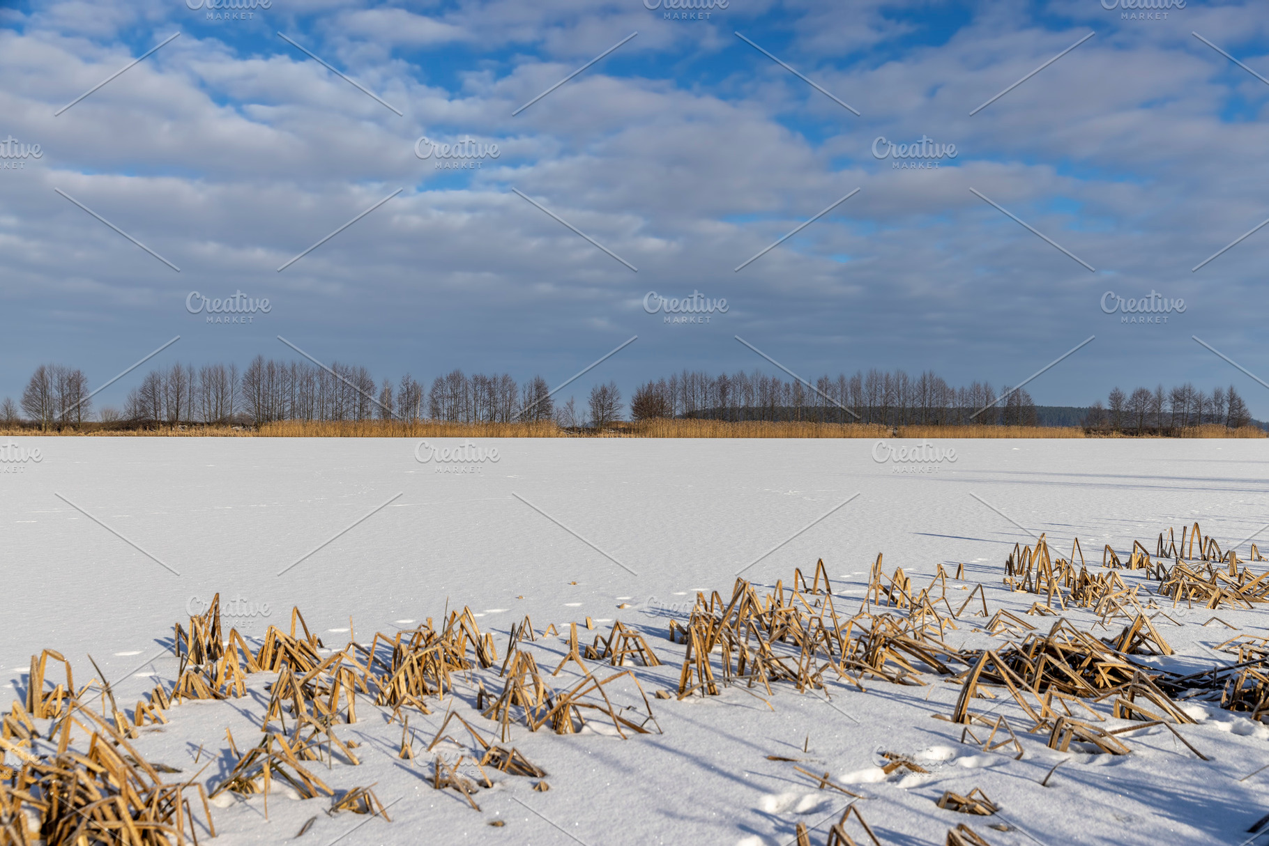 the part of the lake covered with ice and snow in winter, a Photo by rsoollAI